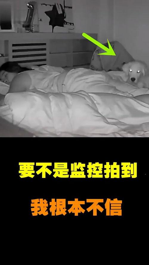 监控搞笑视频,搞笑视频集锦回顾